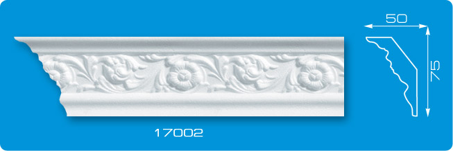 17002 17002