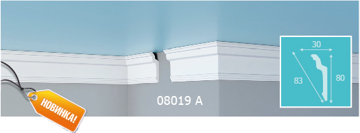 08019 08019